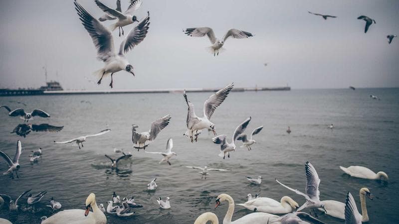 সাইবার নিরাপত্তা সচেতনতা: অনলাইনে নিরাপদ থাকার উপায়
